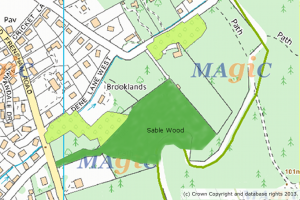 map_magic_deciduous_areas